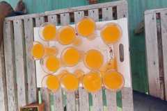 WhatsApp-Image-2025-02-05-at-22.17.42_b76dfd11