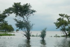 tanguar-haor-4-1