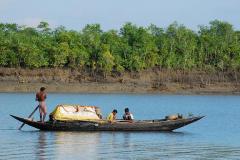 Sundarban