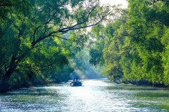 Sundarban_river