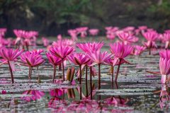 ashique-anan-abir-qxCJBvblVTU-unsplash-scaled