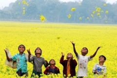 Natural-Beauties-800x445-1