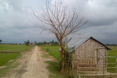 Natural_view_of_Village_Bangladesh