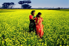 bangladesh-3561318_640