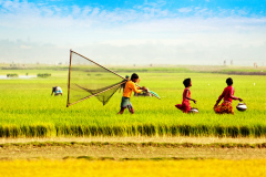 natural-beauty-of-bangladesh