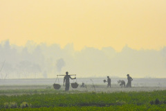 winter_life_in_villages_of_bangladesh_15